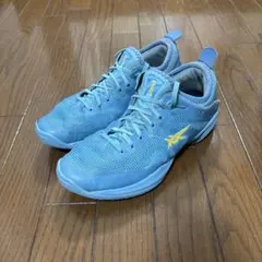 ASICS バスケットボール　グライドノヴァff3 グライドノヴァ　24.5