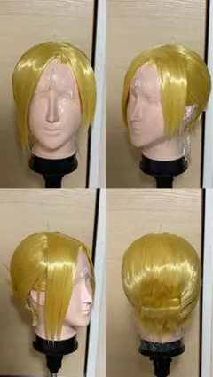 アニ・レオンハート ウィッグ 確認ページ