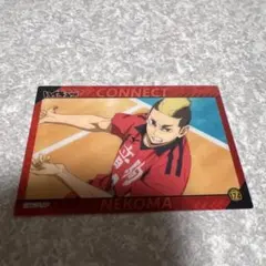 ハイキュー　カード　山本猛虎　no.174