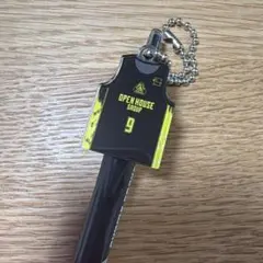 群馬クレインサンダーズ　ジェットストリーム　#9 辻選手