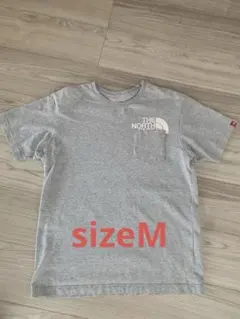 THE NORTH FACE グレー Tシャツ
