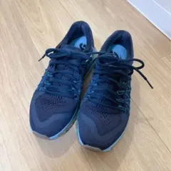 ウィメンズ ナイキ エアマックス NIKE WMNS AIR MAX