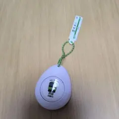 JR東日本 渋谷駅 駅メロ キーホルダー