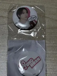 JUNG HWAN ピンバッジ セット
