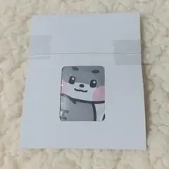 zeroni ぴたハグ ゴニニ gunini ゴヌク ZEROBASEONE