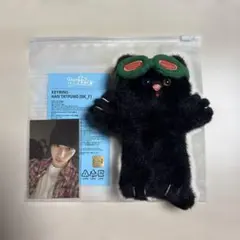 2026年最新】Boynextdoor テサン ぬいぐるみの人気アイテム - メルカリ