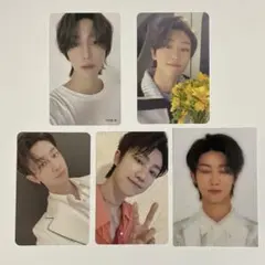 seventeen ディエイト the8 トレカ　セット　まとめ売り