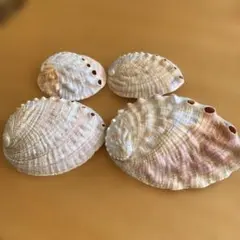 アワビの貝殻（アバロンシェル）　様々なサイズ ハンドメイド素材