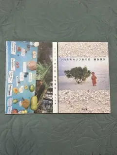 銀色夏生　バリ＆モルジブ旅行記 、ケアンズ旅行記 2巻セット