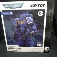 joytoy ウォーハンマー ウルトラマリーンインターセッサーブラザーカトナス