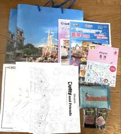 香港ディズニー　エコバッグ　紙袋　ピンバッジ　パンフレット　ぬりえ　his