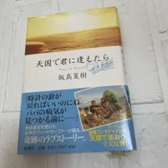 天国で君に逢えたら