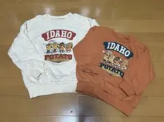 オーシャンアンドグラウンド トップス