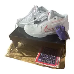 Nike Kobe 4 Protro Draft Day “TORONTO”のサムネイル