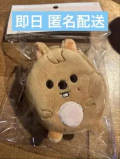 2026年最新】StrayKids skzoo ポップアップの人気アイテム - メルカリ