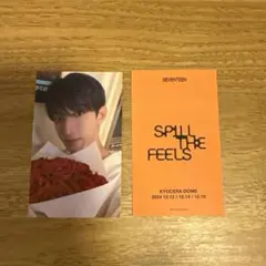SEVENTEEN ドギョム 会場限定 名古屋