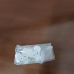 ポケモン ポケモンセンター限定 めじるしアクセサリー2 ワッカネズミ ガチャ