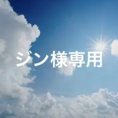 inazuma microSDカード256Gのサムネイル