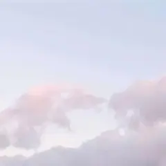 VxV様専用にさせていただいております