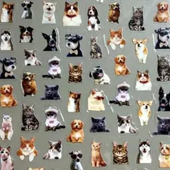 犬猫 ネイルシール