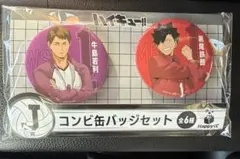 ハッピーくじ ハイキュー 缶バッジセットj賞