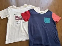 子供用Tシャツ2枚セット