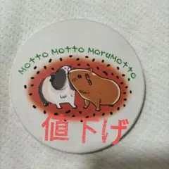 もっともっとモルモット コースター