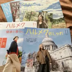 ハルメクの付録のみ オマケ付き
