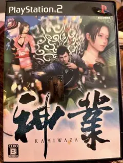 神業 ソフト