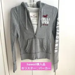hollister パーカー