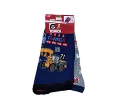 Item thumbnail for item c6d150c7-7247-4f7c-8709-b691ef8e9251