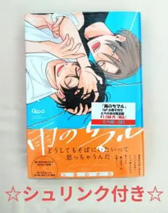 雨のちマル