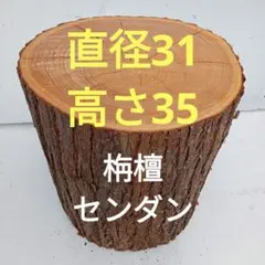 栴檀（センダン）　丸太　（北西10−1）