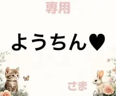 専用