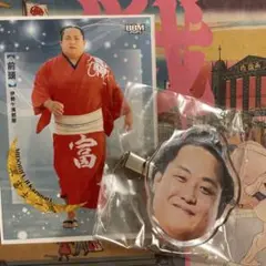 大相撲 ガチャ お相撲さんのフェイスヘアピン 相撲カード 　翠富士