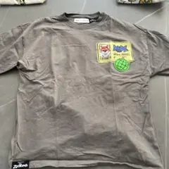 美品ZARA Zootopia ウィルドライフ Tシャツ 11-12歳