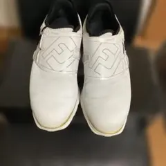 フットジョイ 26.5