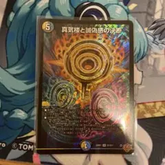 2026年最新】パーフェクトペテンシーの人気アイテム - メルカリ