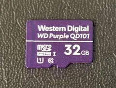 Western Digital WD Purple QD101 32GB