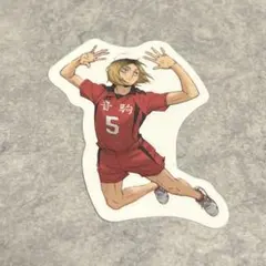 孤爪研磨　ハイキュー　スシロー　ピック