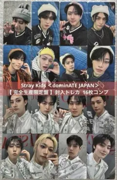 Stray Kids dominATEJAPANソニミュ特典ICカード8種コンプ - メルカリ