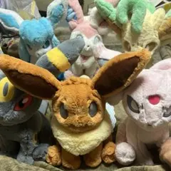 2025年最新】ふわふわ抱きぬいぐるみ ブラッキーの人気アイテム - メルカリ