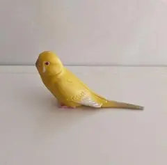セキセイインコ　フィギュア