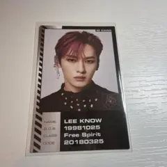 Stray Kids ODDINARY リノトレカ MANIAC