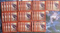 2025年最新】ドラゴニックオーバーロード スリーブの人気