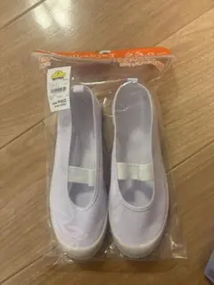 ビニール　バレーシューズ　上履き 23.0cm