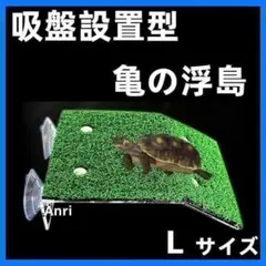 亀 爬虫類・両生類用品