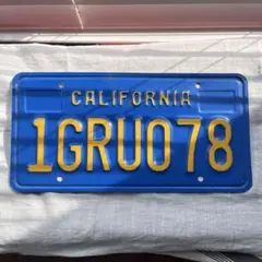 2026年最新】カリフォルニア ナンバープレートの人気アイテム - メルカリ