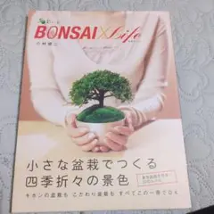 Bonsai×life : 小さな盆栽でつくる四季折々の景色
