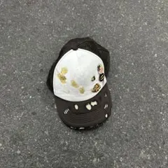 Item thumbnail for item 5dc84f34-4a2b-4fc1-bebb-52c80c56c53a